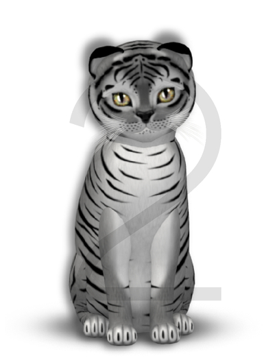 KittyCatS Box - 9T-F Tiger! - Shadow - Normal / Glitter - Fluff