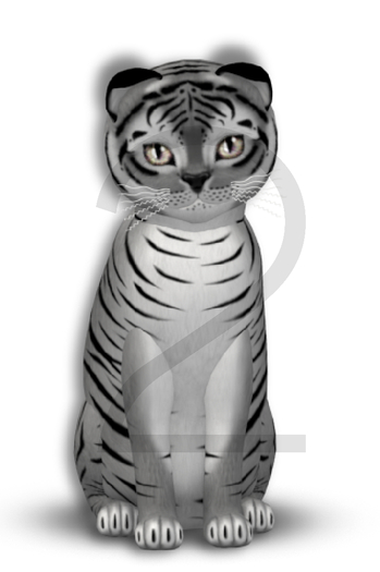 KittyCatS Box - 9T-M Tiger! - Shadow - Normal / Glitter - Fluffy