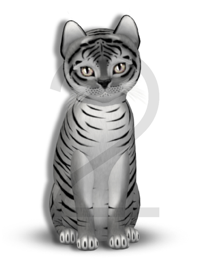 KittyCatS Box - 9T-M Tiger! - Shadow - Normal / Blush - Fluffy