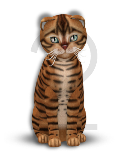 KittyCatS Box - 9T-M Toyger - Caramel / Normal - Glitter - Fluffy