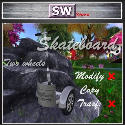 "Skateboard" two wheels