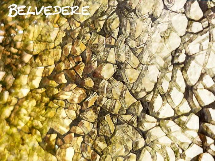 Belvedere - Mix Media 2 - Dollarbie!