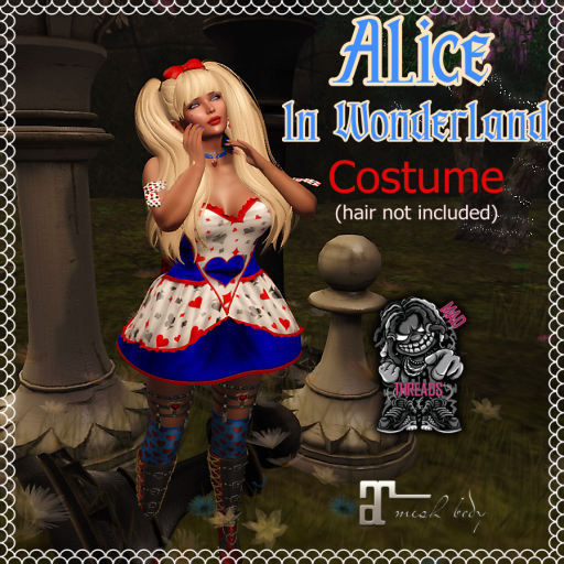 [MAD]  Alice In Wonderland Costume 