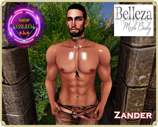 Shape Zander - Belleza.