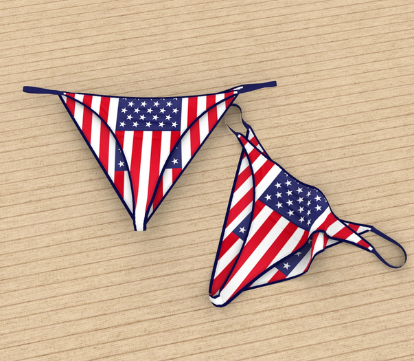 Independence Day Panty