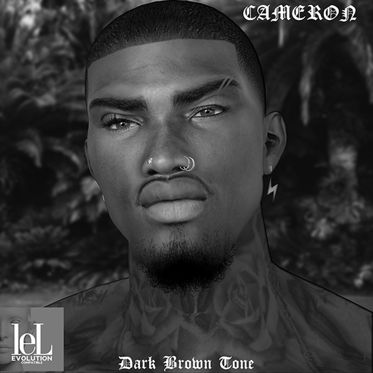 DASH - Cameron Skin - Dark Brown Tone - DEMO