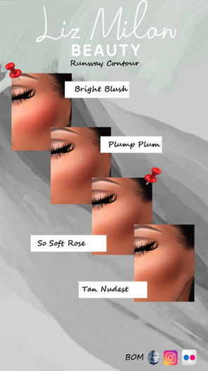 LizMilanBeauty - Runway Beauty Contour