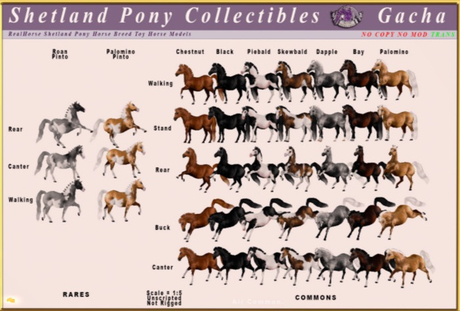 Shetland Rearing Second Life Marketplace - *E* Shetland Pony FS Model Rearing - Palomino ...