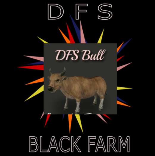 DFS Bull Ayshire 