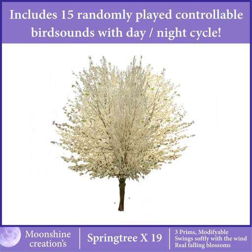 Springtree X19