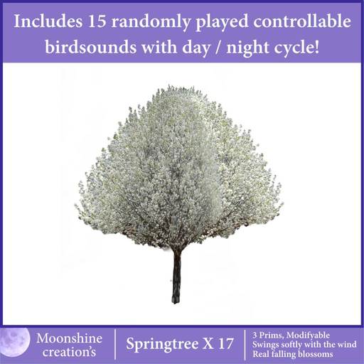 Springtree X17