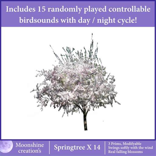 Springtree X14