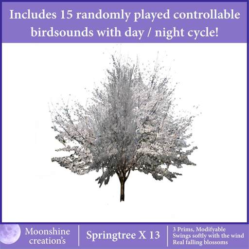 Springtree X13