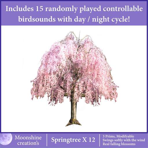 Springtree X12