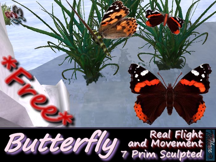 333 - ButterFly - Free Gift (Real movements)