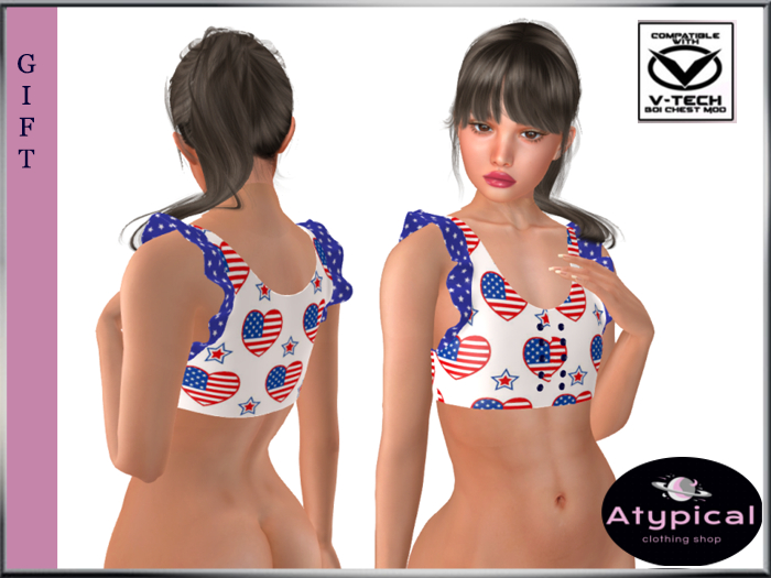 4 July gift for v-tech