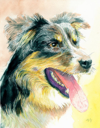 Heather the Border Collie