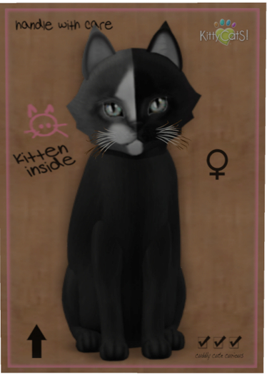 KittyCatS Box - Chimera - Black Grey