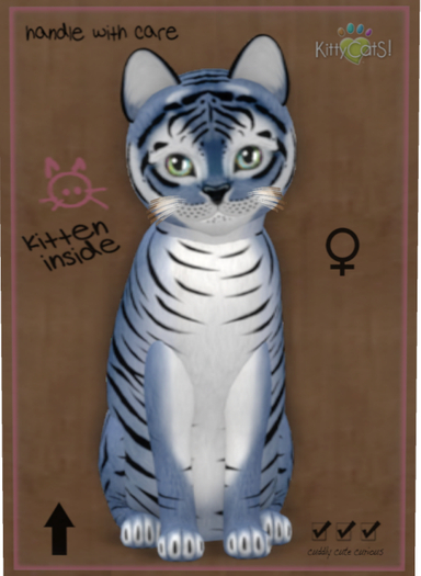 KittyCatS Box - Tiger! - Dusky Winkle