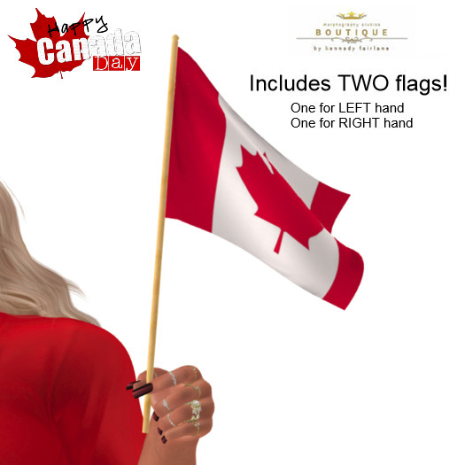 Canada Hand Held Flag - (Boxed)