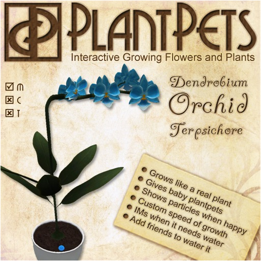 PlantPet Seed [Dendrobium Orchid *Terpsichore*] Box, Open Me