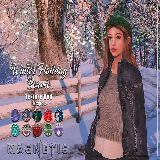 Magnetic - Winter Holiday Beanie/Female(ADD ME)
