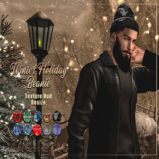 Magnetic - Winter Holiday Beanie/Male(ADD ME)