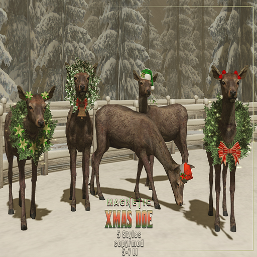 Magnetic - Xmas Doe (ADD ME)