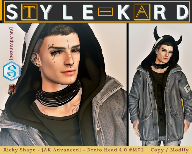[STYLE-KARD] Ricky Shape - AK Advanced #M02