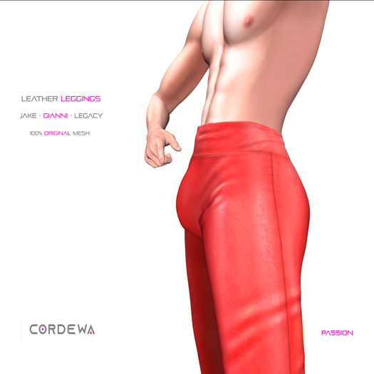 *CORDEWA* HOMME LEATHER LEGGINGS PASSION