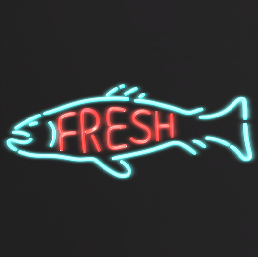 Kiyori // Fresh Fish Neon (English)