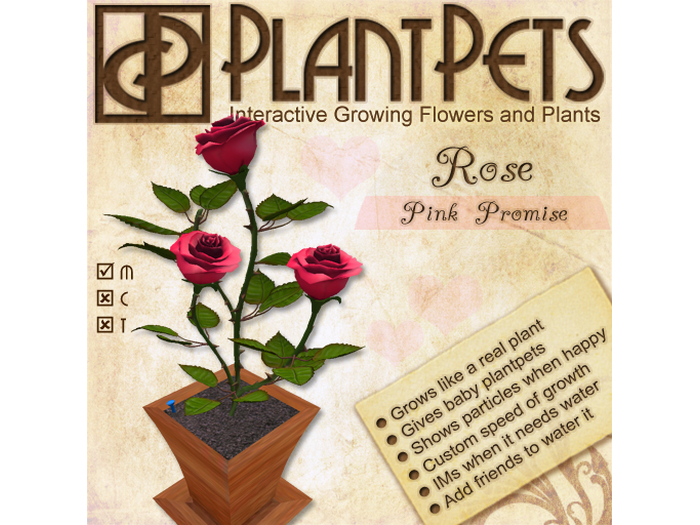 PlantPet Seed [Rose *Pink Promise*]