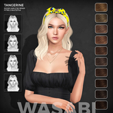 Wasabi // Tangerine Hair - Browns