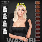 Wasabi // Tangerine Hair - Reds