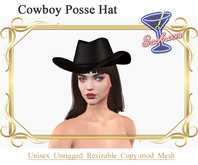 [BRB] Posse Cowboy Hat