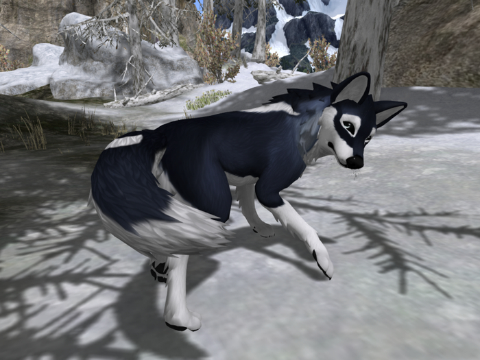 TWI Wintermoon Wolf For TWI Timber Wolf