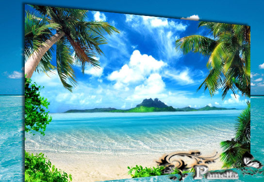Beach and Palms Textur