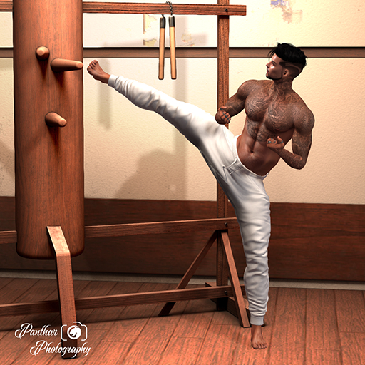 [Panthar Pose] Side Kick