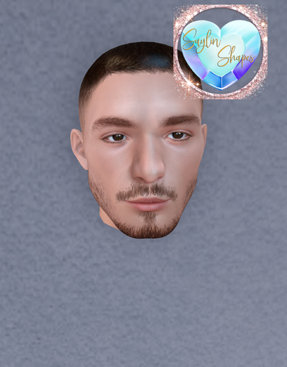 Saylin' Shapes - Roland Shape For Lelutka Alain