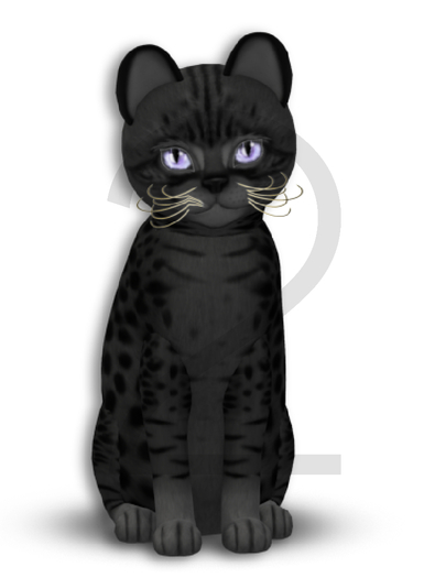 KittyCatS Box - 9T-F Ocicat - Black / Normal - Porcelain - Boo Boo