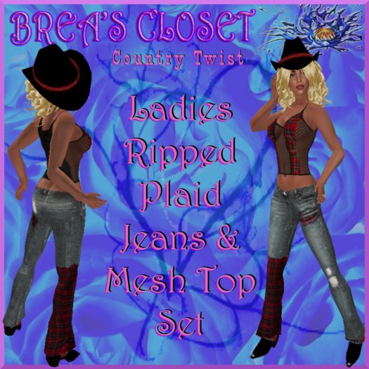 Brea's Ripped Plaid Jeans & Top