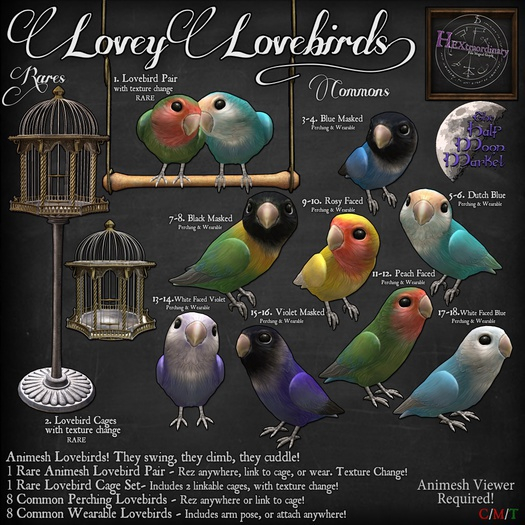 1. HEXtraordinary/Half Moon - Lovebird Pair - RARE