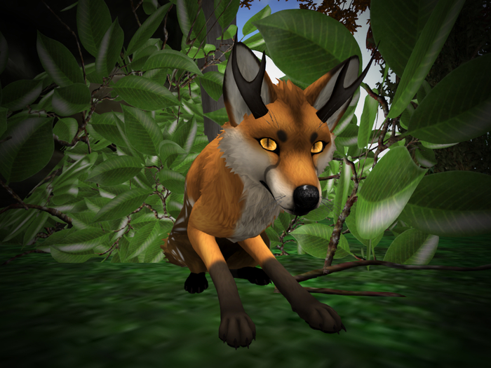 NM's Junk & Stuff DeerFox 2 (BOXED)