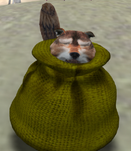 FEMALE WK 37T G11 PRINCETON TIMBER WOLF DOS LUNAR 2016