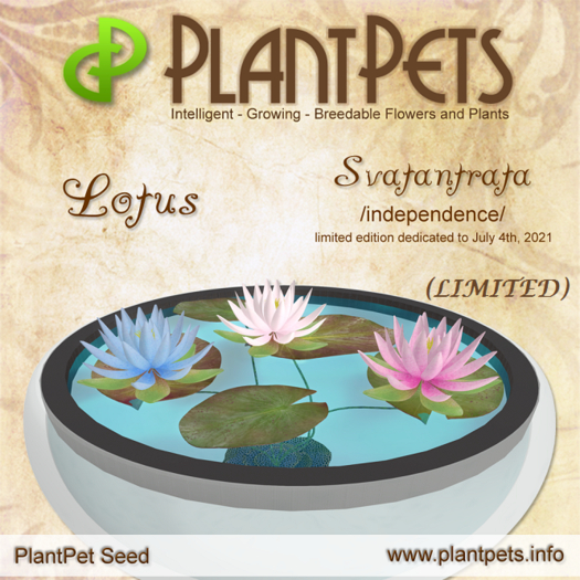 PlantPet Seed [Lotus *Svatantrata*] (LIMITED)