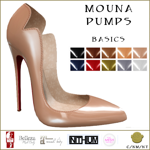 BM Mouna Pumps Basics
