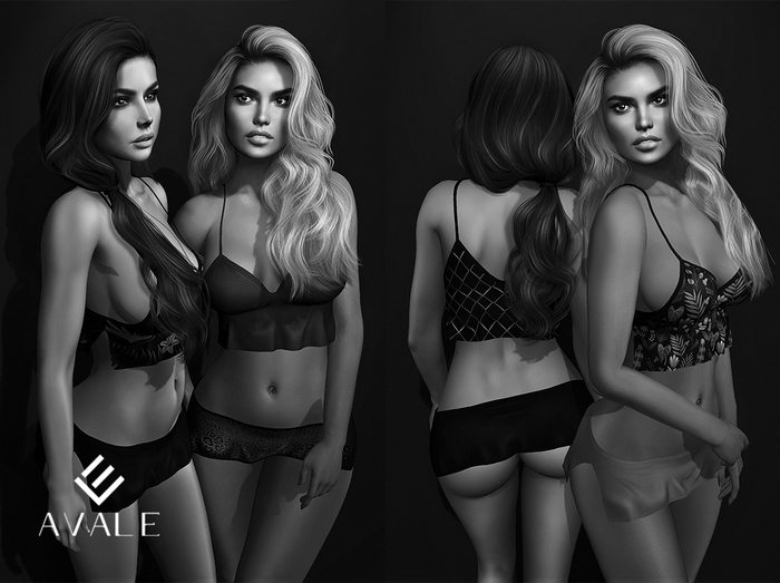 AVALE Dolly - DEMO