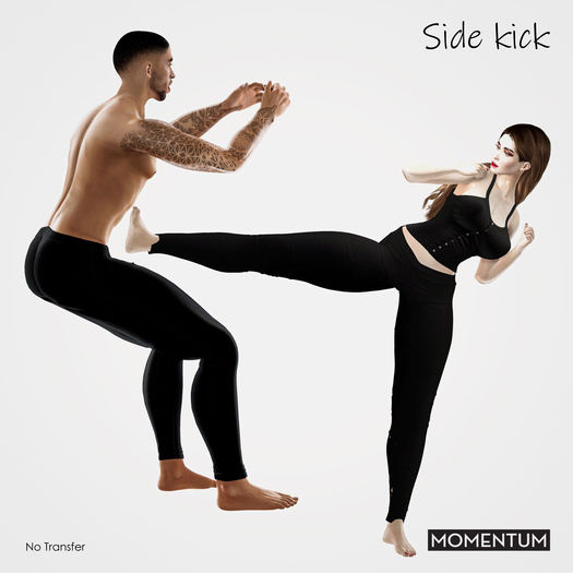Momentum - Side Kick