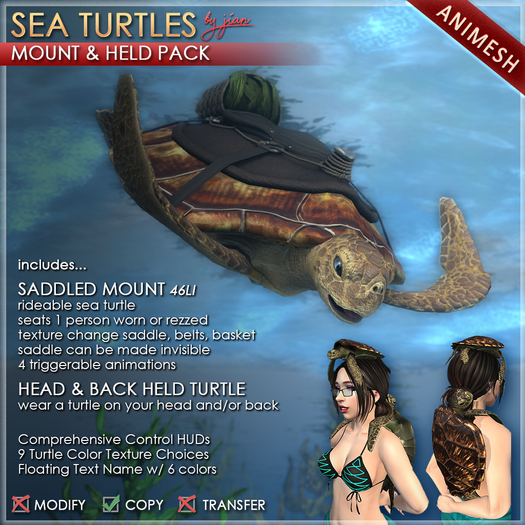 JIAN Sea Turtles Mount & Held  