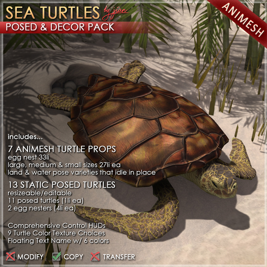 JIAN Sea Turtles Posed & Decor  